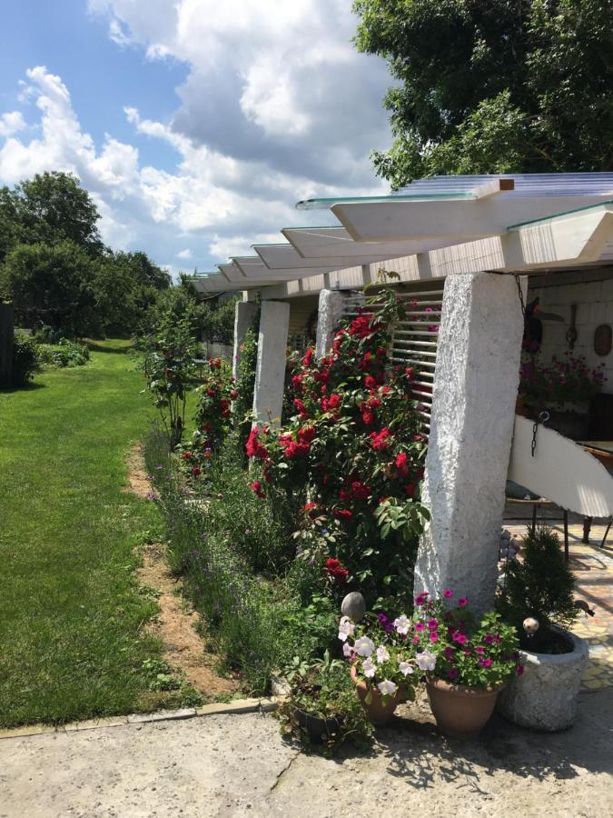 Agroturystyka "Pod Bluszczem" Krasnobród Екстериор снимка