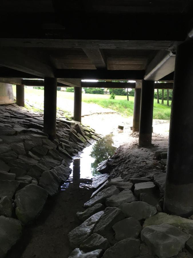 Agroturystyka "Pod Bluszczem" Krasnobród Екстериор снимка