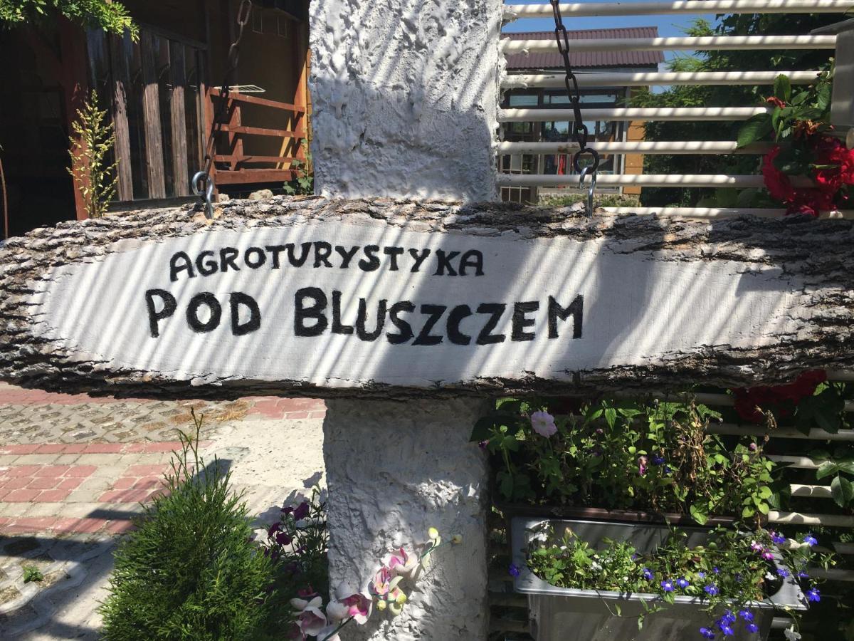 Agroturystyka "Pod Bluszczem" Krasnobród Екстериор снимка