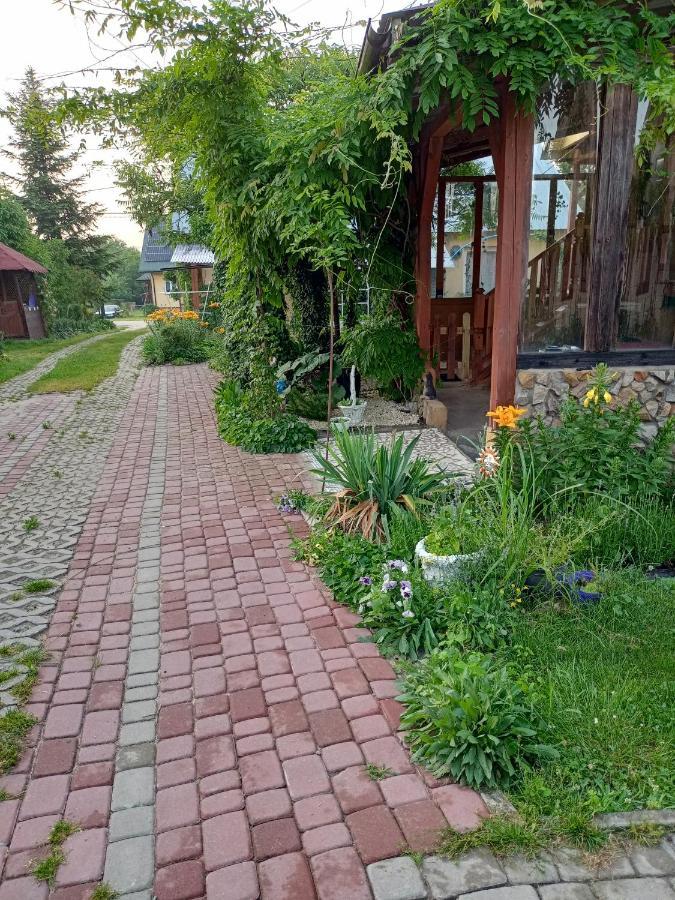 Agroturystyka "Pod Bluszczem" Krasnobród Екстериор снимка