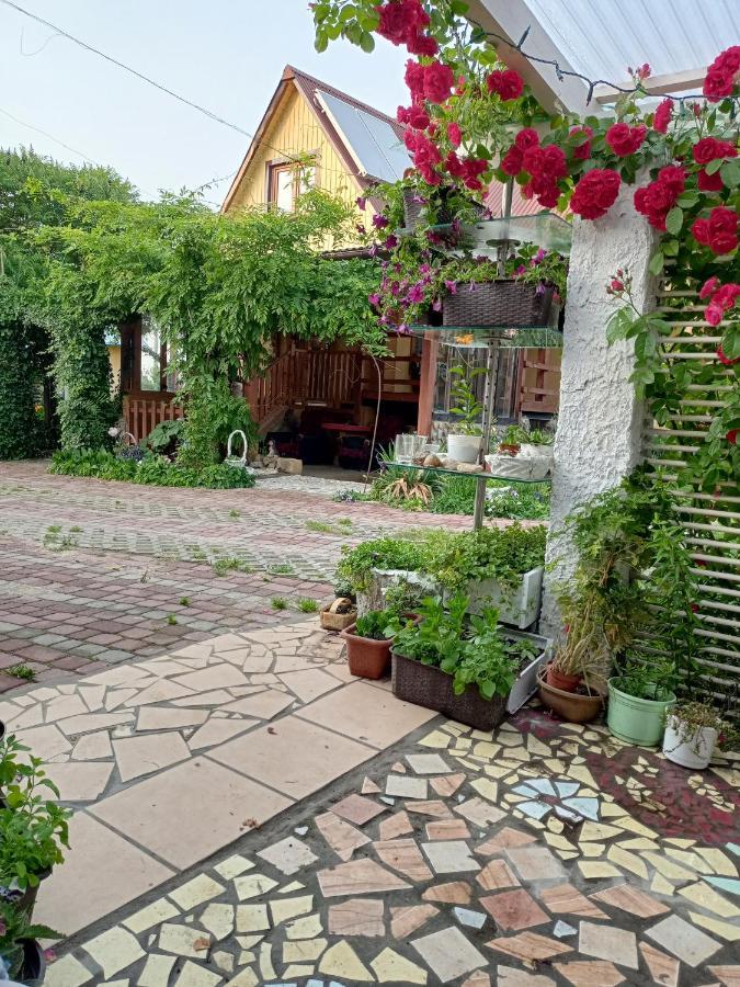 Agroturystyka "Pod Bluszczem" Krasnobród Екстериор снимка