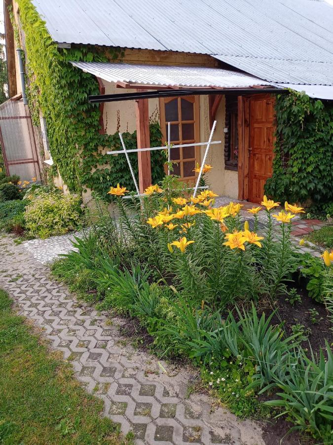 Agroturystyka "Pod Bluszczem" Krasnobród Екстериор снимка