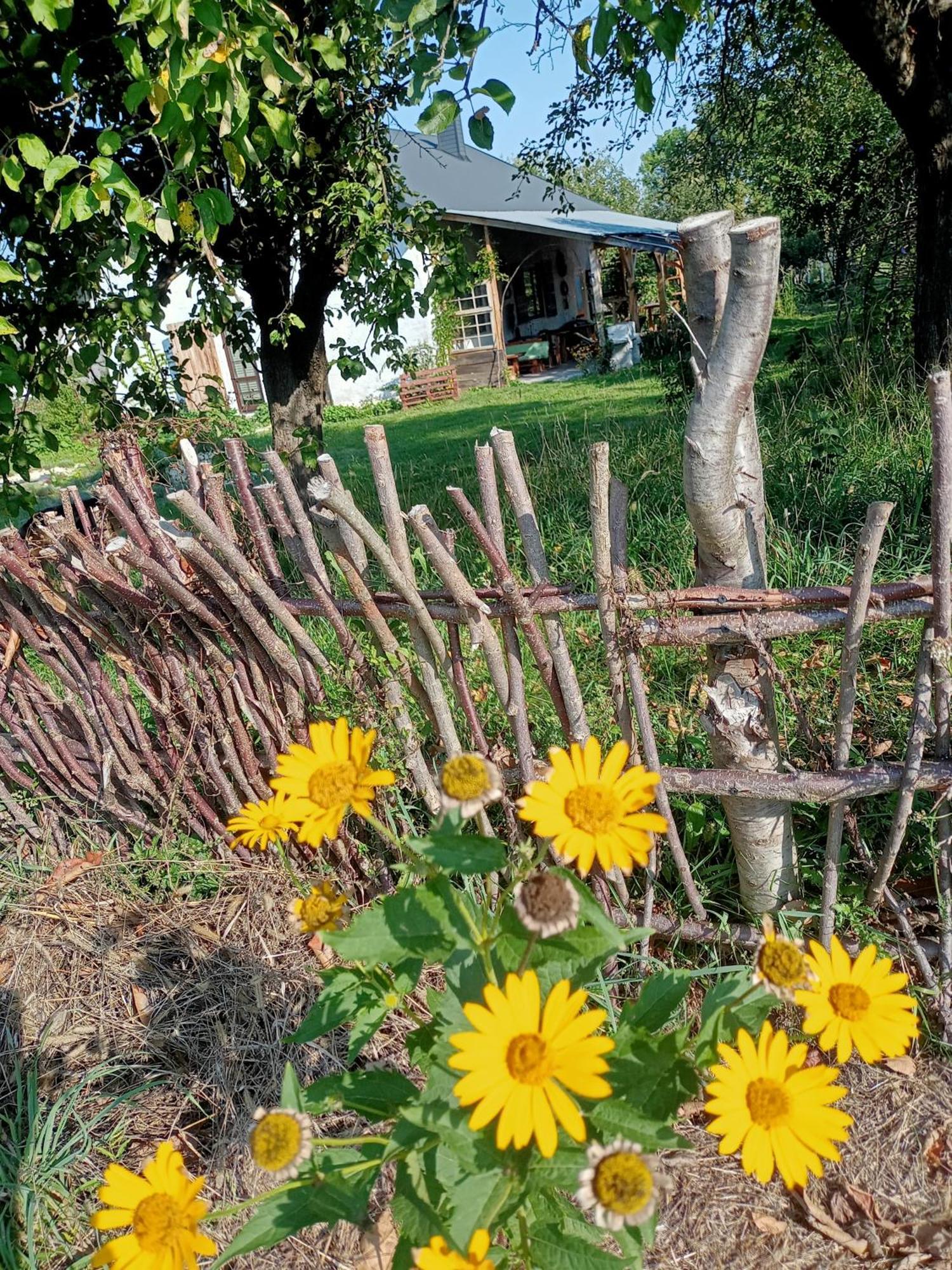 Agroturystyka "Pod Bluszczem" Krasnobród Екстериор снимка